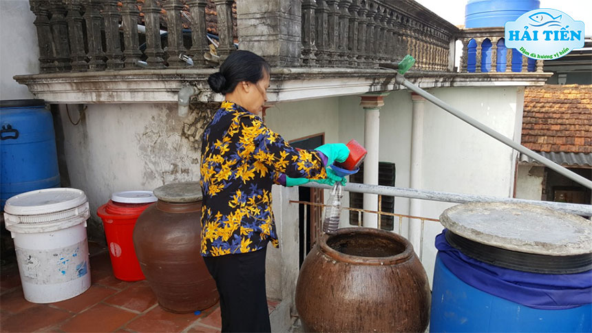 Địa chỉ mua mắm tôm ngon sạch và uy tín tại Sài Gòn | tpHCM